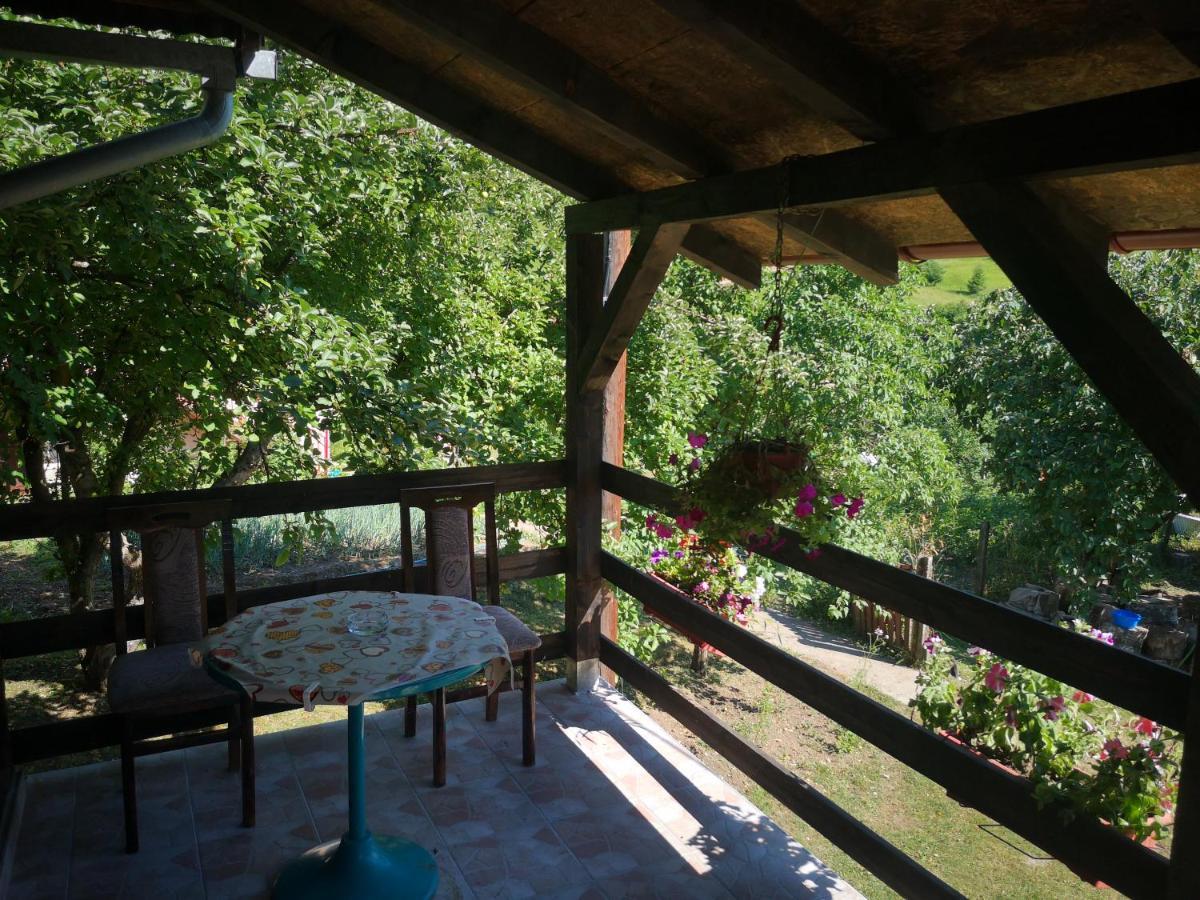 Vikendica Kod Brice Jevtici Exterior foto